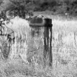 EU AI Act Milestone. 2 August 2025. Black and white photo of an old milestone in a Kassel meadow, surrounded by tall grasses.